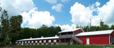 our horse barn